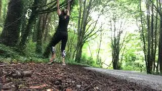 Llandover Woods 1