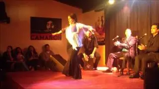 LOS FLAMENCOS Melanie Bayle, Cristo Cortes, Jose de la Negreta, Anton Fernandez, Emilio Cortes