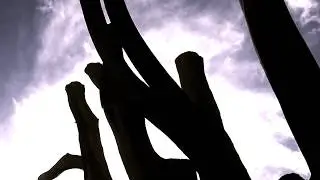 Paris Alexander feat. Eirēnē - Druids