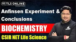 Anfinsen Experiment & Conclusions | Biochemistry | CSIR NET Life Sciences | Ashish Kr Dwivedi |