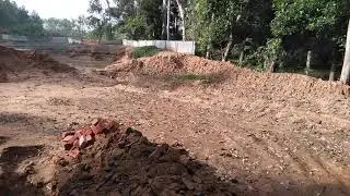 Hindustan Agro Pig Farm. Barla.(Kutubpur)