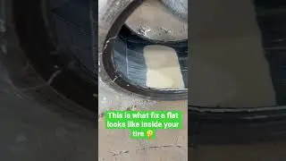 This is how fix a flat looks inside your tire. # #mustang #shorts #fixaflat #tires #flat #michelin
