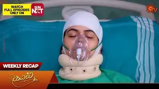 Kayal - Weekly Recap | 29 Jan 2024 - 03 Feb 2024 | Sun TV