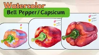 How to Paint Capsicum | Watercolor Bell Pepper