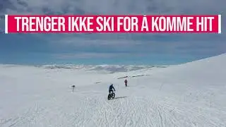 Tj&oslash;rnbrotbu