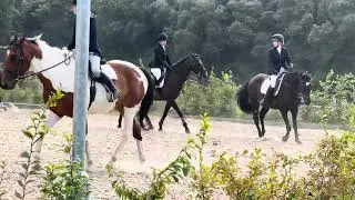 Cissbury Stables Summer Camp 2023
