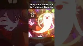 WHY CAN'T MY HU TAO DO 4 MILLION DAMAGE