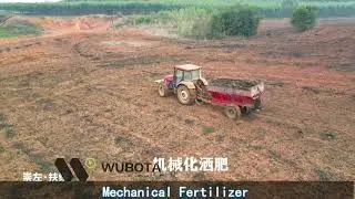 Wubota Chongzuo Fusui Mechanized Sugarcane Harvesting ! #sugarcane #sugarcaneharvesting #harvesting