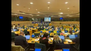Explained: My Petition to the European Commission regarding the EU - Isreal Association Agreement.