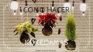 COMO HACER UNA KOKEDAMA MUY FACIL (MACETAS 100% ECOLOGICAS)