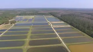 🐟 Drone Flight At Florida Bass Conservation Center 🐟