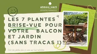 7 plantes brise-vue pour des petits espaces ext&eacute;rieures (terrasse, balcon et petit jardin)
