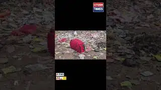 BIHAR के Sasaram  Mandi Bazar में एक लाल Trolly Bag से लड़की का शव मिला #murdermystery #girlsafty