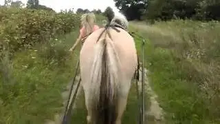 VIDEO0048