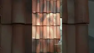 Clay Roof Tiles #short #shorts #claytile #roofing #roof #mediterraneanstyle