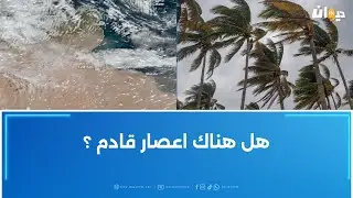 هل هناك اعصار قادم ؟ الاستاذ المبرز في الجغرافيا و الباحث في علم المناه عامر بحبة يوضح
