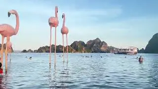 Chi và Nam đi tắm biển TTP Cẩm Phả