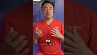 How Stem Cells Work