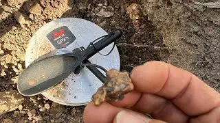 Great chance for big gold nugget