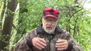 Использование свежих следов для определения местонахождения белохвостых оленей