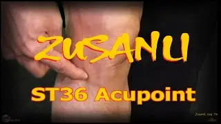 ST36 | Zusanli Acupoint | Stomach Meridian | Acupressure VIKUDO