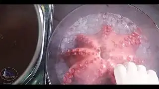 Sara sea food restaurant amman jordan مطعم سارة للماكولات البحرية عمان الاردن