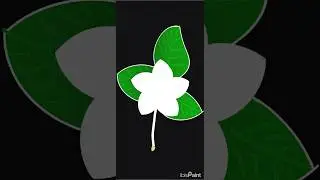 Jasmine art and logo #shorts #whatsapp #x #facebook #meta #youtube #instagram