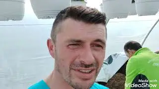 Muzică și repicare Ardei