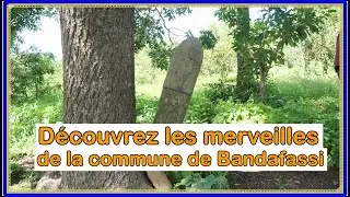 D&eacute;couvrez les merveilles de la commune de Bandafassi