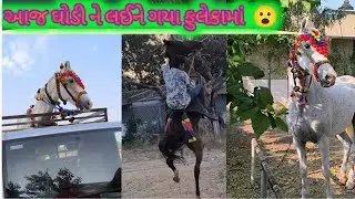તો આજ ઘોડી ને લઈને ગયા બાર ગામ 😁