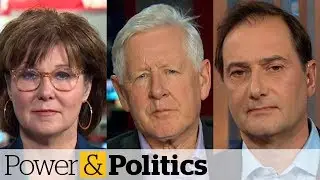 Political stories to watch for in 2020