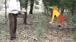 Aaron's Animals