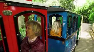 🚂 Maxi Express: The Ultimate Trackless Train Experience! 🌟