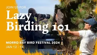 Lazy Birding 101 | Morro Bay Bird Festival Jan 2024