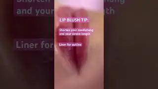 Pmu mentor: The microblading institute & lip blush tips