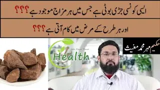 chob chini ke fayade chob chini benefits or side effects in Urdu or Hindi china health root