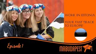 How to get a job offer in Estonia