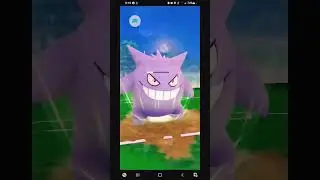 11000 CP Swampert destroys Gengar
