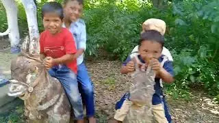 அய்யூர் விலங்கு வீரனார் கோவில்