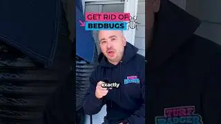 BED BUGS 🪳End For Good!