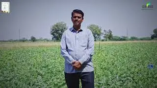 ProPaK - Watermelon crop farmer
