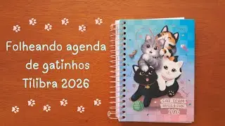 Minha Agenda Tilibra 2026 de Gatinhos 🐱 Folheando e Comentando