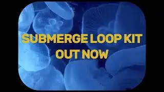 [OUT NOW] LOOP KIT - SUBMERGE (11 MELODIES + STEMS)