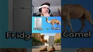 Тест на мозговую гниль: верблюд-холодильник 🐪 #мозговаягниль