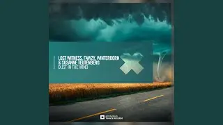 Dust In The Wind (Extended Mix)