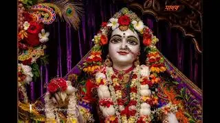 mayapur গৌর আরতি