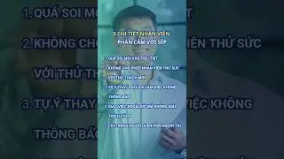 5 chi tiết nh&acirc;n vi&ecirc;n phản cảm với sếp #chungnhaniso #isocert #quantridoanhnghiep #iso9001certified