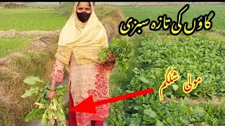 Pakistan New Village Vlog || Sadam Vlogs | life style