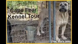 A Cape Fear Kennel Tour