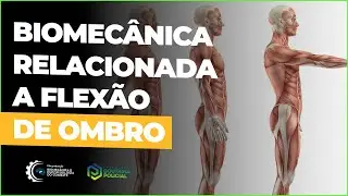 Biomecânica relacionada a Flexão de Ombro